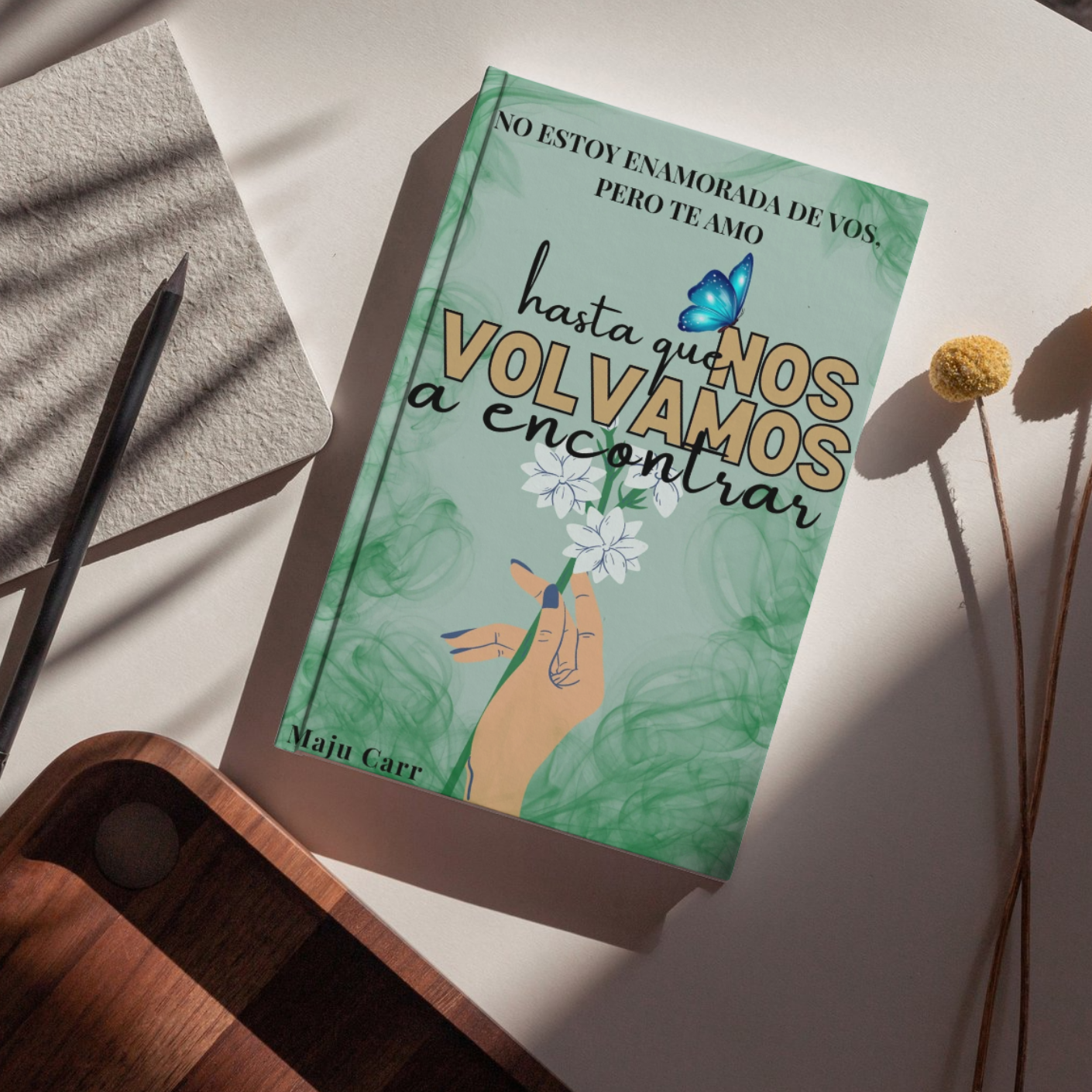 Hasta que nos volvamos a encontrar: NO ESTOY ENAMORADA DE VOS, pero te amo